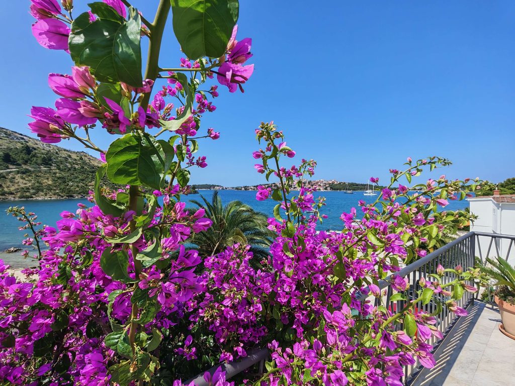 rogoznica beach house roof flower scaled